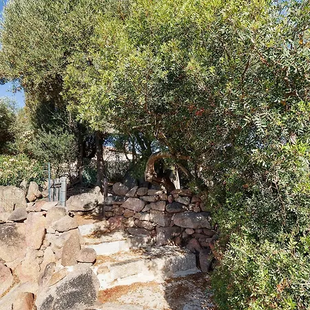 Appicciu * Coti-Chiavari (Corsica)
